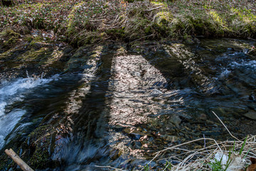 Gew&auml;sser und Auen im Naturschutzgebiet