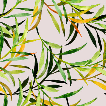 Tree branches seamless pattern.Image on white and color background.