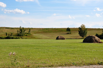 Green field with haystacks and trees. Summer, august