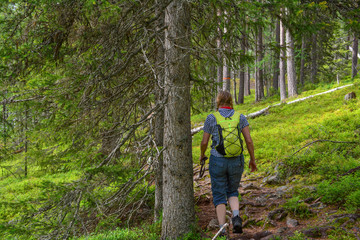 Woman hiking in forest in Lapland Finland