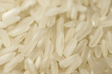 Groats white rice porridge white closeup. Macro photography