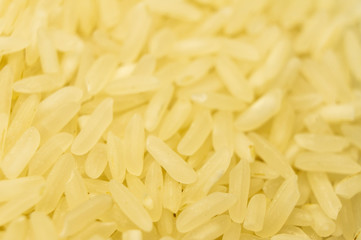 Groats white rice porridge yellow closeup. Macro photography