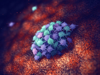 Thrombocytes forming a blood clot, The platelets are blood cells responsible for fixing blood vessel damage