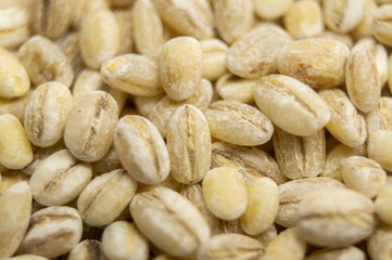 Pearl barley oats closeup. Macro photography