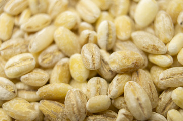 Pearl barley oats closeup. Macro photography