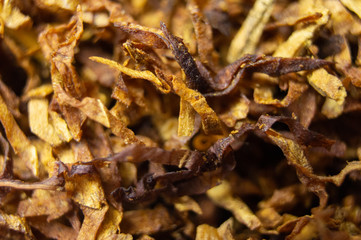 Dried tobacco close-up. Macro photography