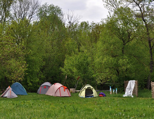 Tents near the forest, in summer people rest in a tent camp, trekking