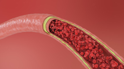 Cross section artery view. Red blood cells inside an artery, vein. Healthy blood flow. Scientific and medical concept. Transfer of important elements in the blood to protect the body. 3d illustration