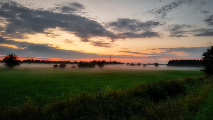 Misty fields in a sunset scene in northern germany in early summer