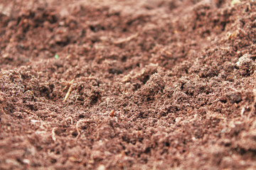 Fresh fertile soil. Close-up. Background. Texture.