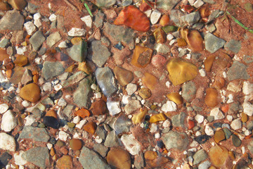 Different colored pebbles under water. Top view. Close-up. Background. Texture.