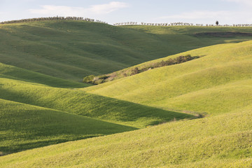 Fototapeta premium Beautiful colors of green spring panorama landscape of Tuscany. Most popular place in Italy. Green fields and blue sky and Cypress tree scenic road near Siena. Travel holiday background concept