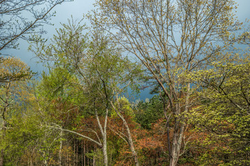 Stormy sky in springtime