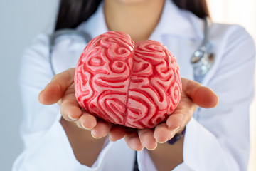 Doctor Holding Human Brain