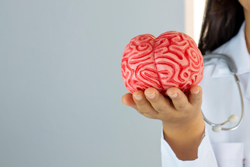 Doctor Holding Human Brain