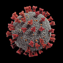 Coronavirus