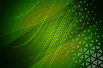 Fototapeta premium leaf, green, abstract, palm, nature, plant, texture, tree, tropical, pattern, light, leaves, color, macro, design, backgrounds, wallpaper, foliage, closeup, lines, summer, close-up, banana, fresh