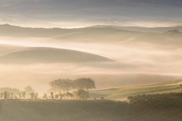 Beautiful colors of green spring panorama landscape of Tuscany. Most popular place in Italy. Green fields and blue sky and Cypress tree scenic road near Siena. Amazing foggy morning with sunshine
