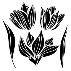 Isolated vector design set of silhouettes of lined decorative tulip flowers on white background. The design is perfectly suitable for clothes design, children decoration, stickers, stationary, tattoos