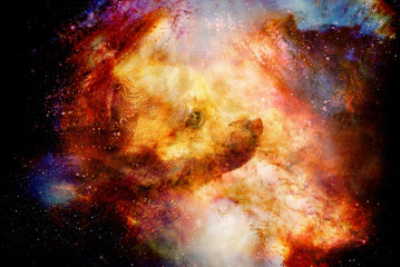 little charming adorable chihuahua puppy on abstract structured space background.