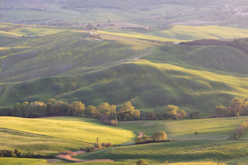 Fototapeta premium Beautiful colors of green spring panorama landscape of Tuscany. Most popular place in Italy. Green fields and blue sky and Cypress tree scenic road near Siena. Travel holiday background concept