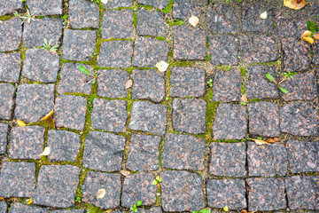 Stone walkway red granite bricks floor texture with moss. Old street pavement