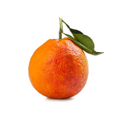 Orange from Sicily – 