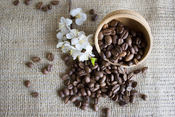 Coffee beans with a high aroma, cherry blossom
