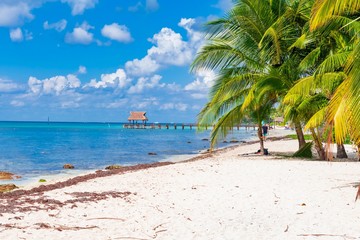 Obraz na płótnie Canvas Cozumel island in Mexico