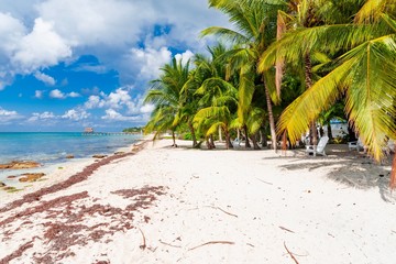 Fototapeta na wymiar Cozumel island in Mexico