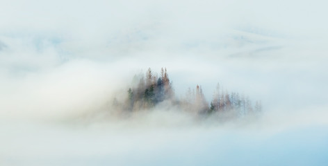 mountain snowy landscape and snow covered trees, graphic effect.