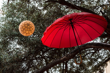 Decoration with an umbrella on a tree