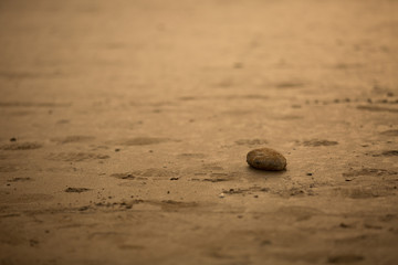 A Lonely Stone on the Beach of Conil, Spain