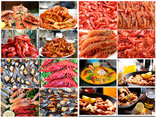 Food background. Collage of shrimps, Crabs, mussels, crawfish