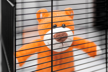 A teddy bear behind the bars of a cage. Self-isolation. Civic consciousness. Countering the virus. - obrazy, fototapety, plakaty