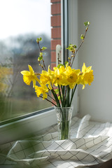 Bouquet of daffodils on the window