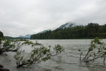 the Katun river