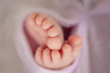 Newborn Baby Feet Toes
