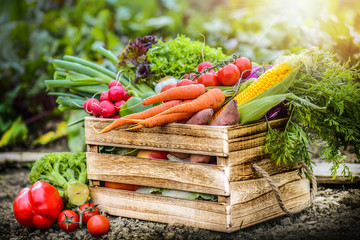 Fresh vegetables in wooden box. Healthy food on natural farm background.