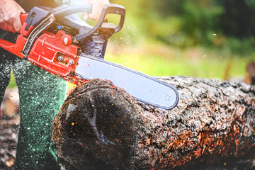 Chainsaw in motion. Woodcutter man clean chain saw after work. Hard wood working in forest. Sawdust fly around.