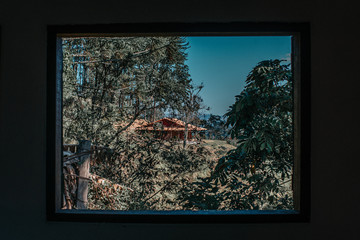 nature window