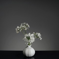 bouquet of flowers in a vase on black background