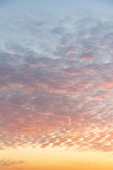Fototapeta na wymiar cirrus clouds on a peach sky