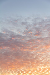 Naklejka premium cirrus clouds on a peach sky