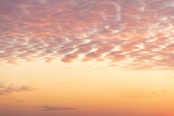 cirrus clouds on a peach sky