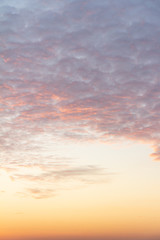 cirrus clouds on a peach sky