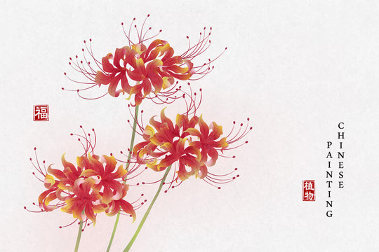 Chinese ink painting art background plant elegant flower Lycorisradiata.  Chinese translation : Plant and Blessing. Stock Vector | Adobe Stock