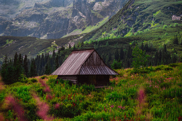 Drewniana Chatka Dolina Gąsienicowa W Tatrach - obrazy, fototapety, plakaty