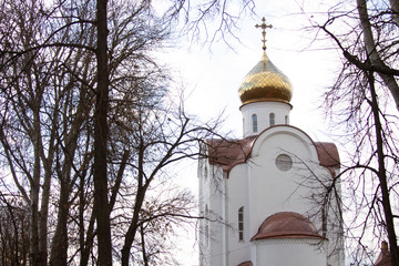 Golden dome of an orthodox temple against a cloudy sky