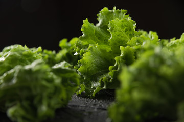 texture of lettuce leaves on a dark textured background